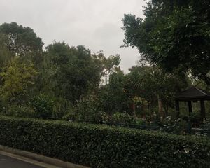 水云间联排边户别墅,带私家花园,近地铁口,采光好