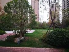 国企开发+人车分流+南北大3房+随时看房子。