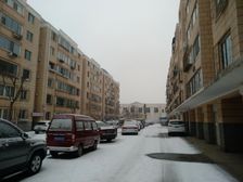 宁馨佳苑 电梯11楼 双阳卧室 精装修 看房方便拎包入住