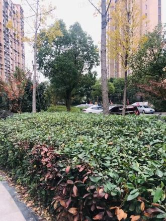 永裕大厦实景图