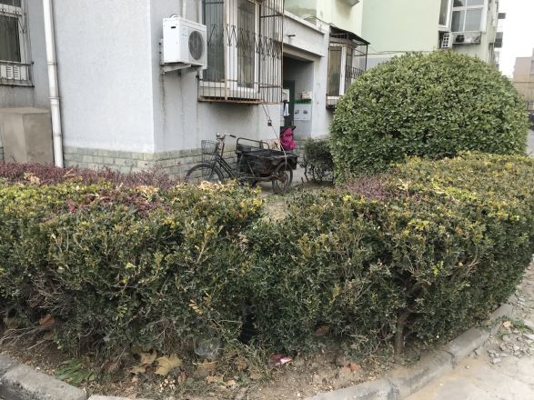 体育场路6号院实景图