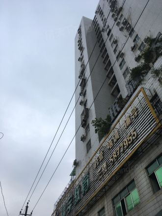 珉旖大厦实景图