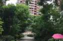 汇强上城实景图