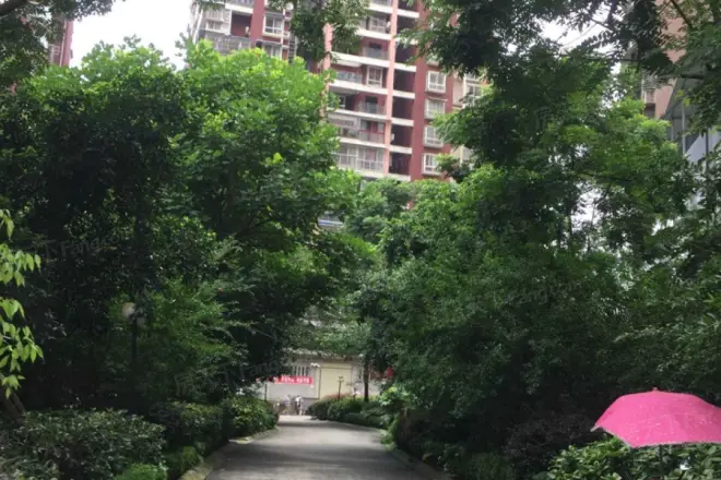 汇强上城实景图