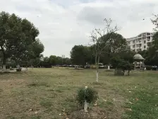 松乐苑 5室2厅 南