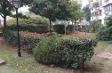 绿岛花园实景图