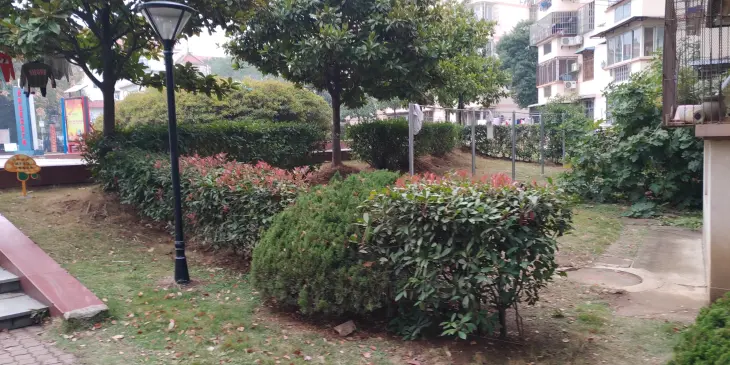 绿岛花园实景图