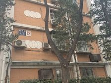 和平街十区2室1厅南