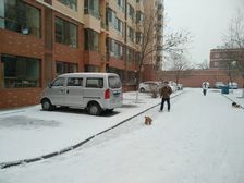 鑫泰豪庭两居室南北向业主诚心出售看房方便