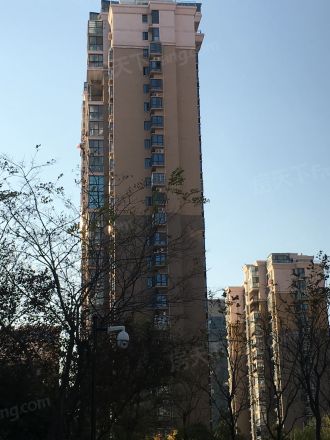 中豪星城实景图
