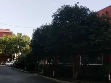 茸南苑 2室1厅 南