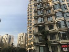 亦庄新城马驹桥珠江逸景家园新上三居两卫满五唯一随时看