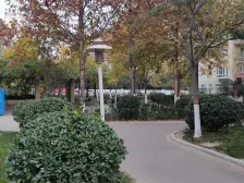 鑫苑中央花园东区 1室1厅 东