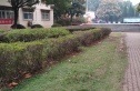 绿岛花园实景图