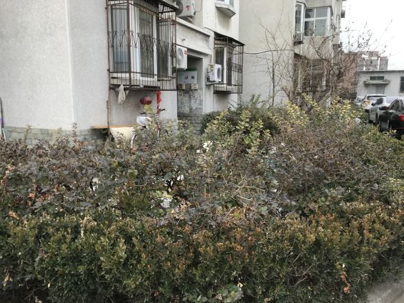 体育场路6号院实景图