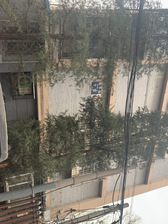 和平街·和平街十区·2室·1厅,家园一层双南向
