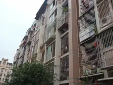 茶园新区 茶花小镇二房45.3万