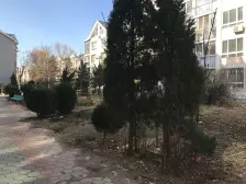 泡崖美林园 双南两室 近市场 采光好 随时入住