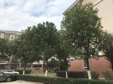 精品户型阁楼很大,位置好,采光好,诚心卖