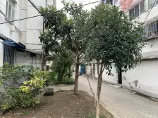 十全街 · 苏医新村一区 · 2室 · 1厅 自住装修 保养