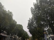 诚售蝶湖湾三期精装2房好楼层视野佳方便看房!
