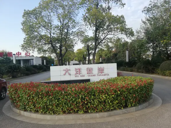 大洋彼岸心海岸别墅实景图