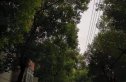 梅苑小区实景图
