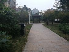 天下一家1室1厅南