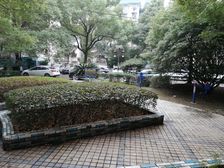 万家丽商圈三地铁线户型周正配套东郡随时看房