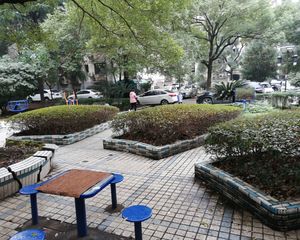 芙蓉区政府与万家丽之间,3条地铁,诚心卖