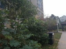 天下一家3室1厅南