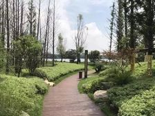 可以住别墅 何必住高层 有天有地有花园