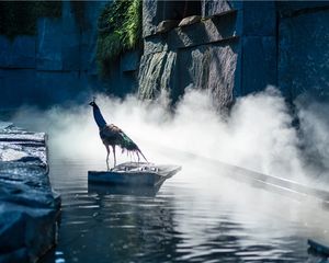 万科天府锦绣锦院4室2厅南