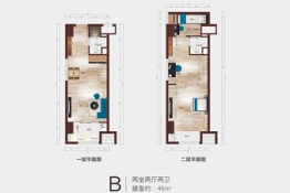 龙之光·国际中心2室2厅1厨2卫建面46.00㎡