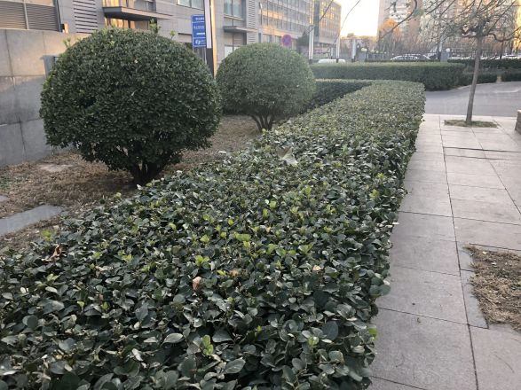 紫金数码商住楼实景图