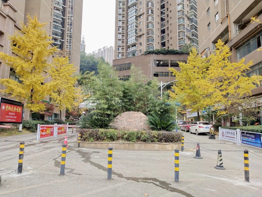小区相关图