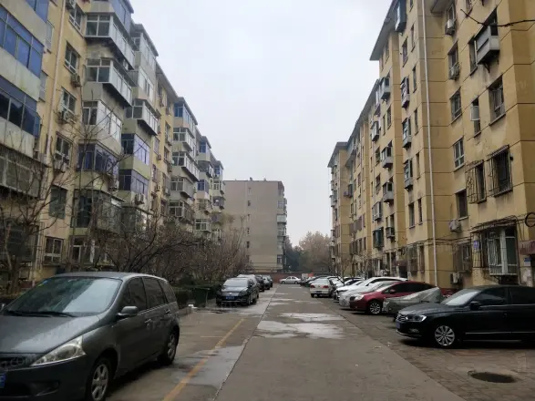 燕港新村实景图