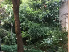 房型正气,主卧朝南,中式风格,繁华地段