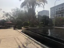 大平层四房环境优美,天然人工湖