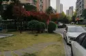 新怡家园实景图