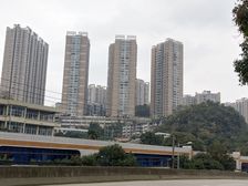 绿苑小区天源居1室1厅东南