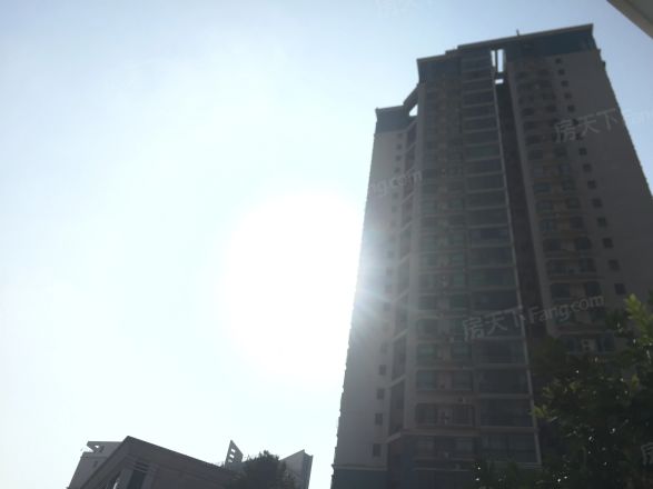 梦泽园实景图