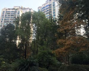 王府花园4室2厅南