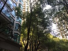 王府花园3室1厅西北