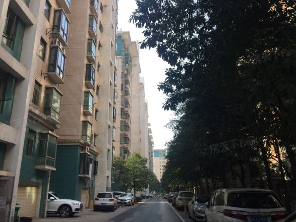 梦泽园实景图