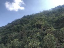 花果园U区2室1厅东西