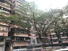 回兴 海德花园二房30万