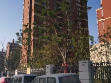 边户四房 楼层好视野好 一梯一户 地暖双气