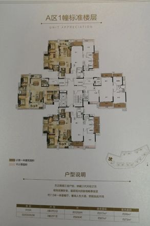 雅居乐锦城户型图