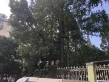 国顺路310弄小区2室南朝向268.00万元/套出售